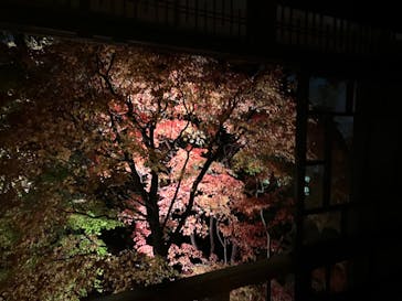 江戸東京たてもの園に投稿された画像（2022/11/26）