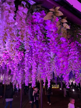 東京メガイルミに投稿された画像（2022/11/26）