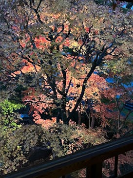 江戸東京たてもの園に投稿された画像（2022/11/26）