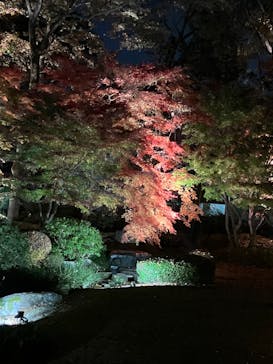 江戸東京たてもの園に投稿された画像（2022/11/26）