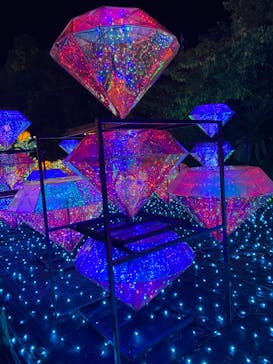 伊豆ぐらんぱる公園に投稿された画像（2022/11/26）