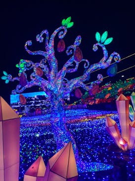 伊豆ぐらんぱる公園に投稿された画像（2022/11/26）