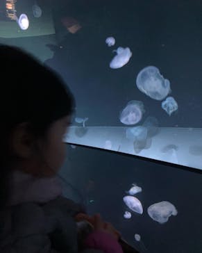 サンシャイン水族館に投稿された画像（2022/11/26）