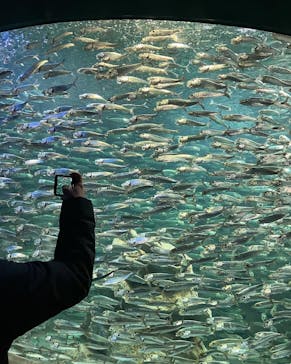 サンシャイン水族館に投稿された画像（2022/11/26）