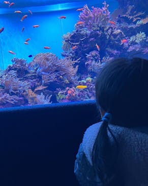 サンシャイン水族館に投稿された画像（2022/11/26）