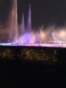 東京メガイルミに投稿された画像（2022/11/26）