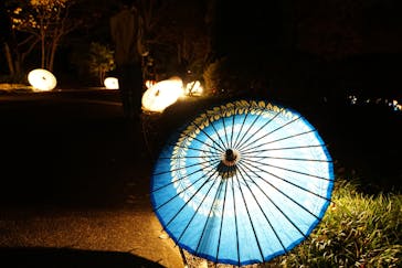 国営昭和記念公園 秋の夜散歩に投稿された画像（2022/11/26）