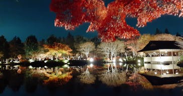 国営昭和記念公園 秋の夜散歩に投稿された画像（2022/11/26）