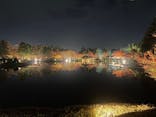 国営昭和記念公園 秋の夜散歩に投稿された画像（2022/11/26）