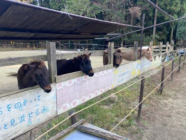 ふれあい動物園ピクニカ共和国に投稿された画像（2022/11/26）