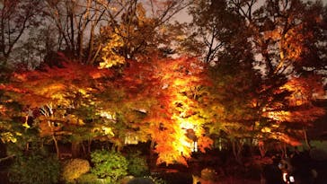 江戸東京たてもの園に投稿された画像（2022/11/26）