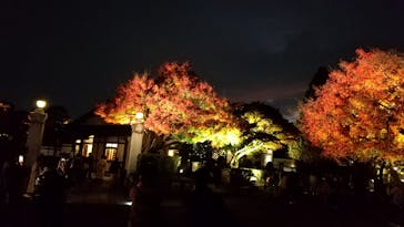 江戸東京たてもの園に投稿された画像（2022/11/26）