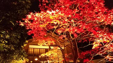 江戸東京たてもの園に投稿された画像（2022/11/26）