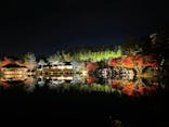 国営昭和記念公園 秋の夜散歩に投稿された画像（2022/11/26）
