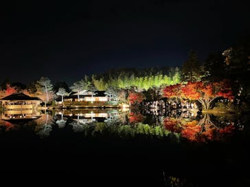 国営昭和記念公園 秋の夜散歩に投稿された画像（2022/11/26）