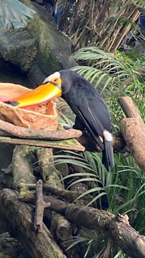 那須どうぶつ王国に投稿された画像（2022/11/26）