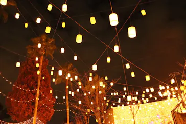 ひらかたパークに投稿された画像（2022/11/26）