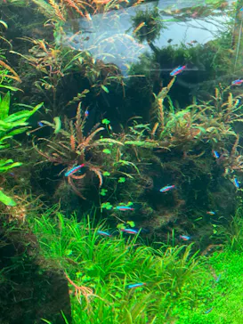 すみだ水族館に投稿された画像（2022/11/26）