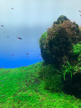 すみだ水族館に投稿された画像（2022/11/26）