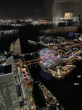 横浜ランドマークタワー 69階展望フロア スカイガーデンに投稿された画像（2022/11/26）