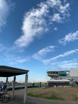 名古屋港水族館に投稿された画像（2022/11/26）