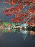 国営昭和記念公園 秋の夜散歩に投稿された画像（2022/11/27）