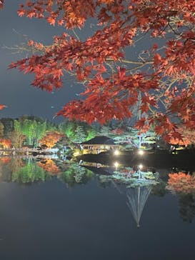 国営昭和記念公園 秋の夜散歩に投稿された画像（2022/11/26）