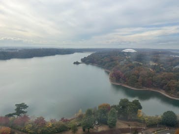 西武園ゆうえんちに投稿された画像（2022/11/26）