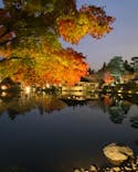 国営昭和記念公園 秋の夜散歩に投稿された画像（2022/11/27）