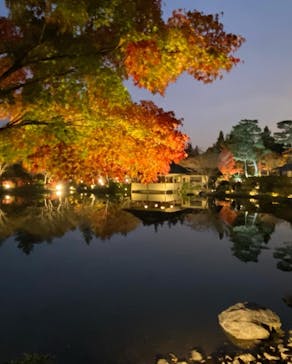 国営昭和記念公園 秋の夜散歩に投稿された画像（2022/11/26）