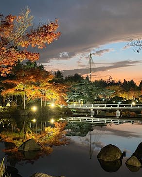 国営昭和記念公園 秋の夜散歩に投稿された画像（2022/11/26）