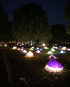 国営昭和記念公園 秋の夜散歩に投稿された画像（2022/11/26）