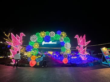 伊豆ぐらんぱる公園に投稿された画像（2022/11/26）