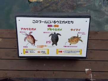 串本海中公園水族館に投稿された画像（2022/11/26）