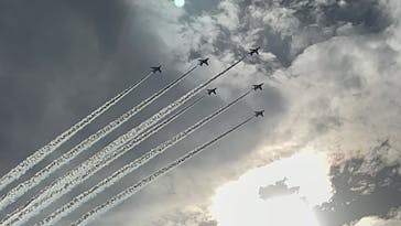 名古屋城に投稿された画像（2022/11/27）