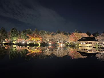 国営昭和記念公園 秋の夜散歩に投稿された画像（2022/11/27）