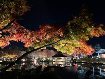 国営昭和記念公園 秋の夜散歩に投稿された画像（2022/11/27）