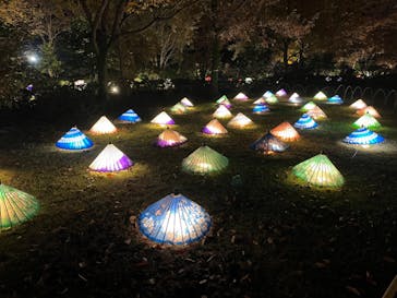 国営昭和記念公園 秋の夜散歩に投稿された画像（2022/11/27）