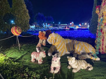 東武動物公園に投稿された画像（2022/11/27）