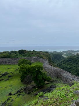 今帰仁城跡に投稿された画像（2022/11/27）