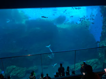 仙台うみの杜水族館に投稿された画像（2022/11/27）