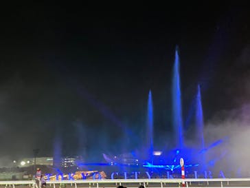 東京メガイルミに投稿された画像（2022/11/27）