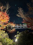 国営昭和記念公園 秋の夜散歩に投稿された画像（2022/11/27）