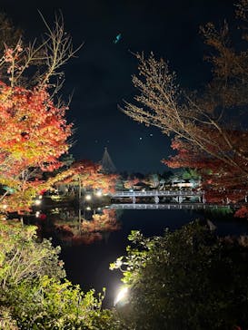 国営昭和記念公園 秋の夜散歩に投稿された画像（2022/11/27）