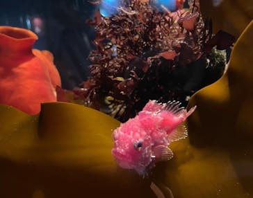 環境水族館アクアマリンふくしまに投稿された画像（2022/11/27）