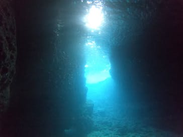 DIVING-SHOP SUNSに投稿された画像（2022/11/27）