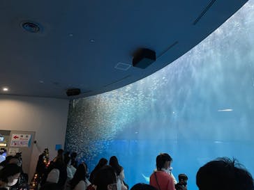 名古屋港水族館に投稿された画像（2022/11/27）