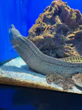 仙台うみの杜水族館に投稿された画像（2022/11/27）