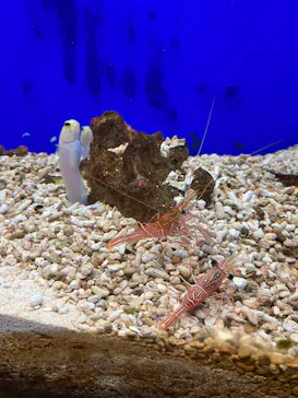 仙台うみの杜水族館に投稿された画像（2022/11/27）