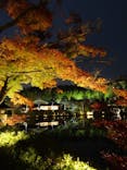 国営昭和記念公園 秋の夜散歩に投稿された画像（2022/11/27）